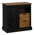 Sideboard Halden mit Schiebetur Schwarz 80x40x80 cm Massivholz